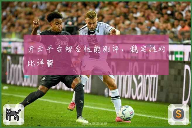 开云平台综合性能测评，稳定性对比详解